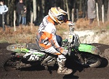 alea8.jpg